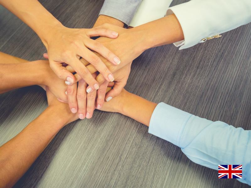 How to Win More Business with DailyVista