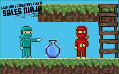 Reach the Decision Maker Like a Sales Ninja